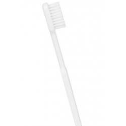 Brosse à dents rechargeable en bioplastique blanche - Image Caliquo