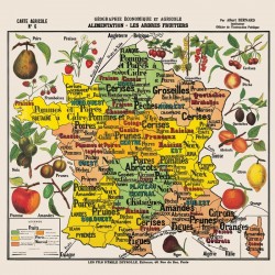 Puzzle Michèle Wilson 100 pièces "Carte de France des fruits" - Découpé à la Main