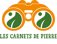 Logo de Les Carnets de Pierre